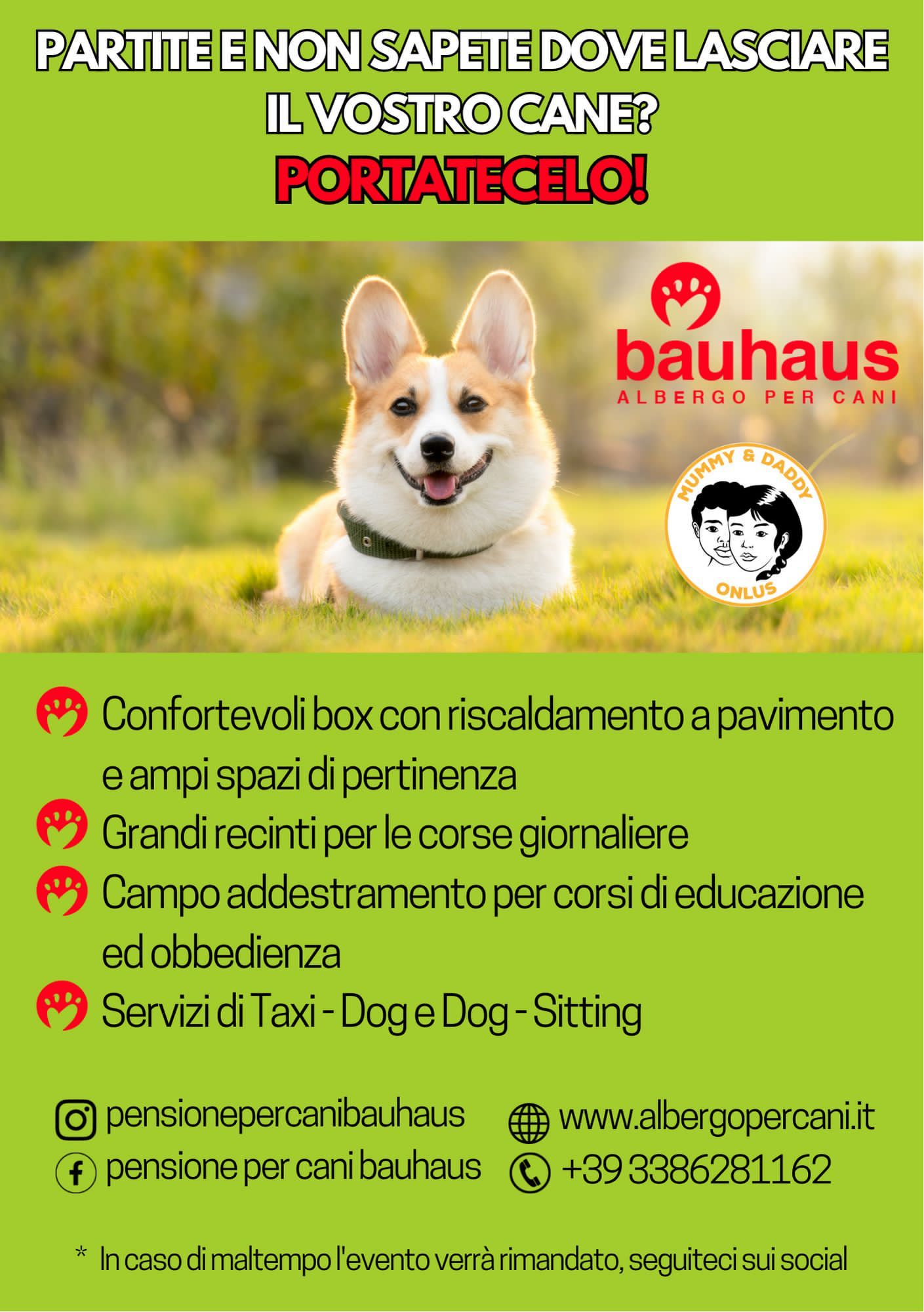 Bauhaus-albergo-per-cani-Veneto-Cimadolmo-dog-party